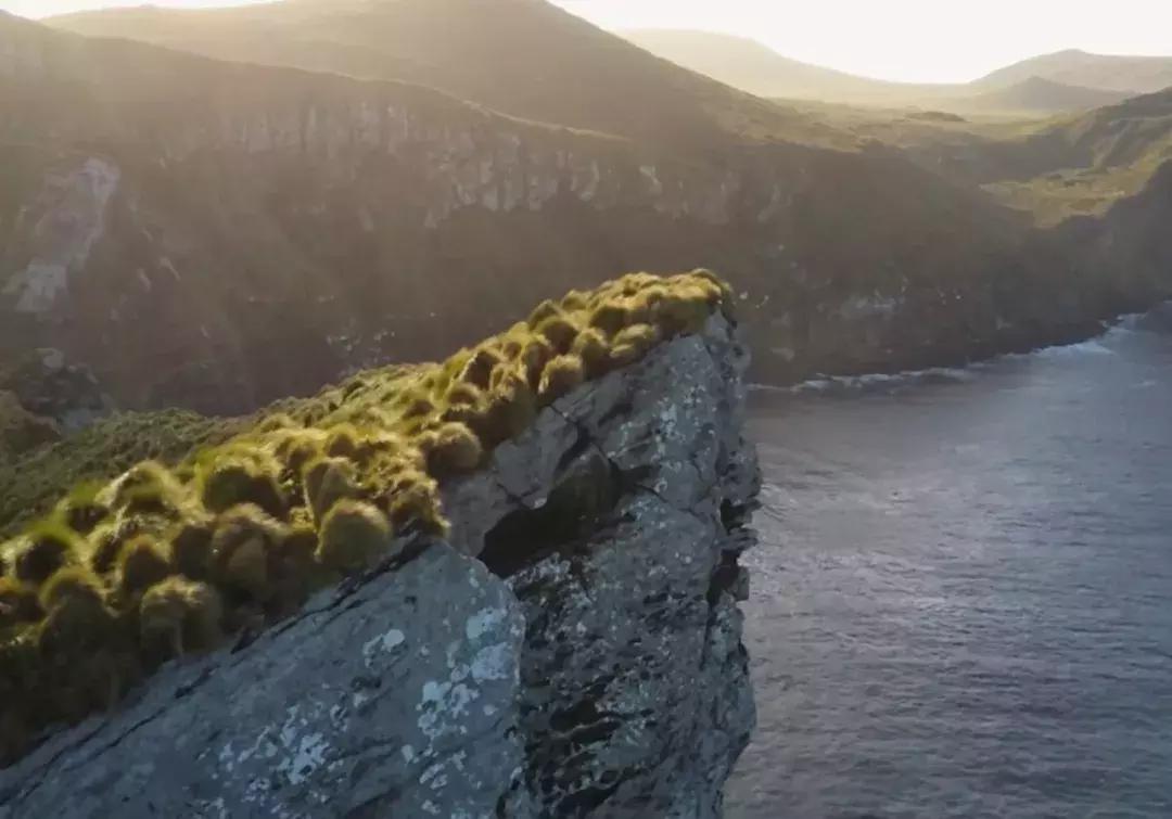 这个新西兰小岛,隐藏的惊世秘密