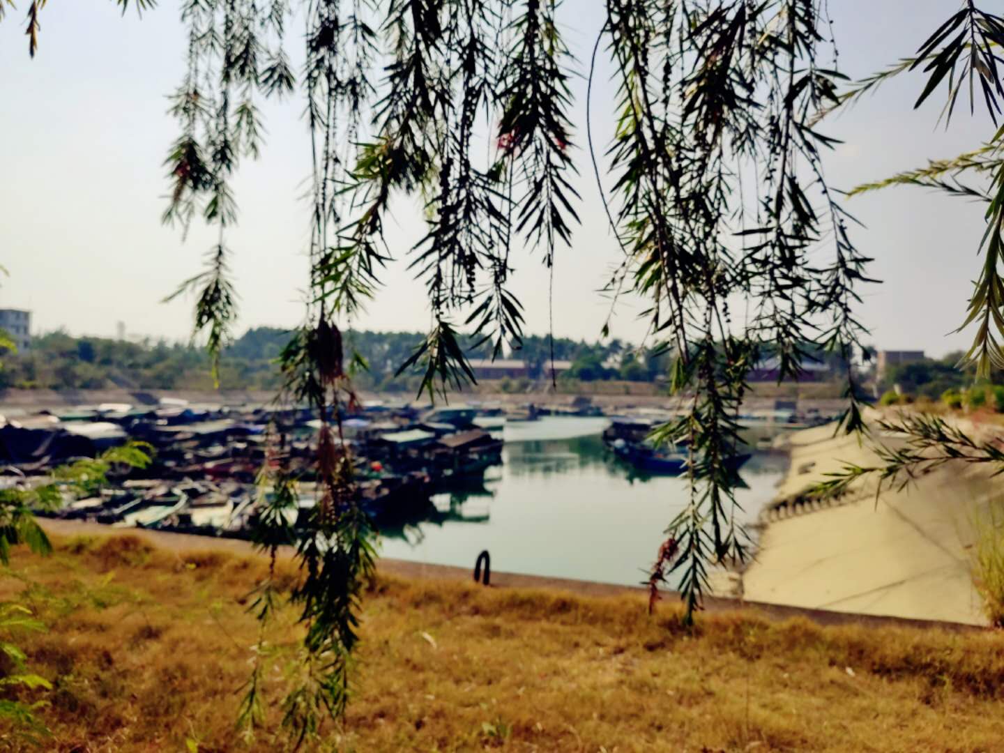 湛江特呈岛地理位置,湛江市特呈岛攻略