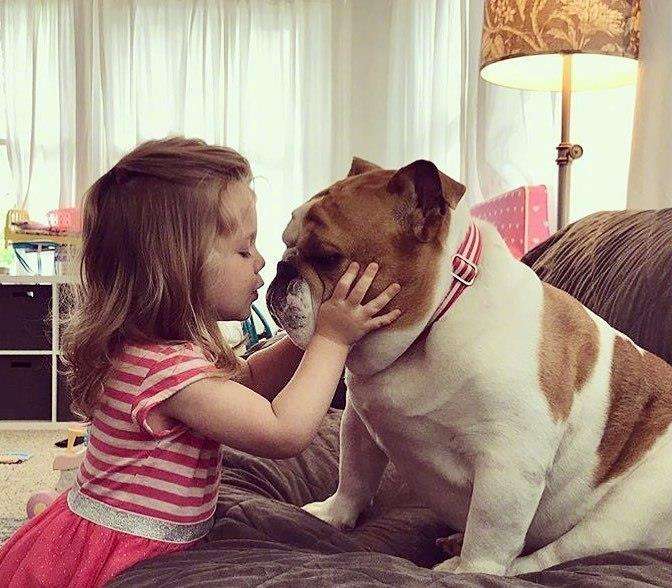 孩子和7岁狗狗失踪,狗狗失踪十五天后带回来个女朋友