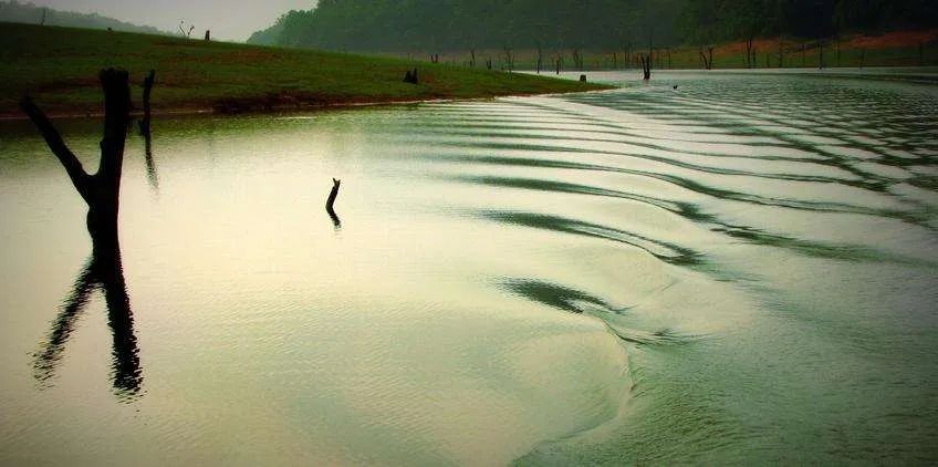 欧文亚隆精神分析,欧文亚隆的心灵治疗纪录片