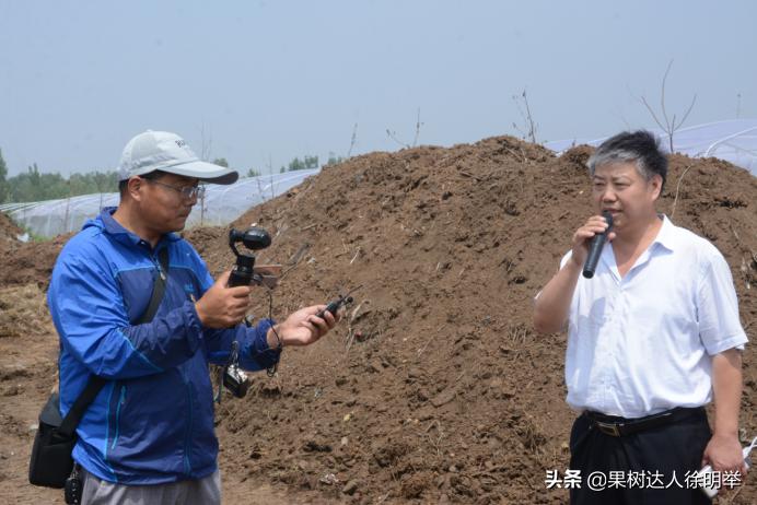 虫子王——以虫治虫的蚜虫生物防治技术体系，果农了解用处大