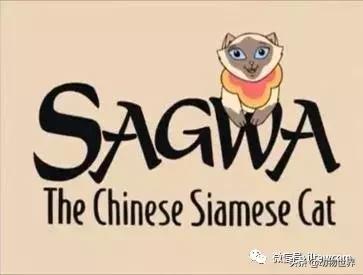 东方的“月亮钻石”-暹罗猫