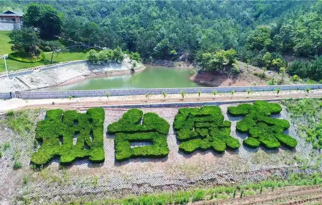 瀹朵埂娓歌,瀹朵埂閭唽