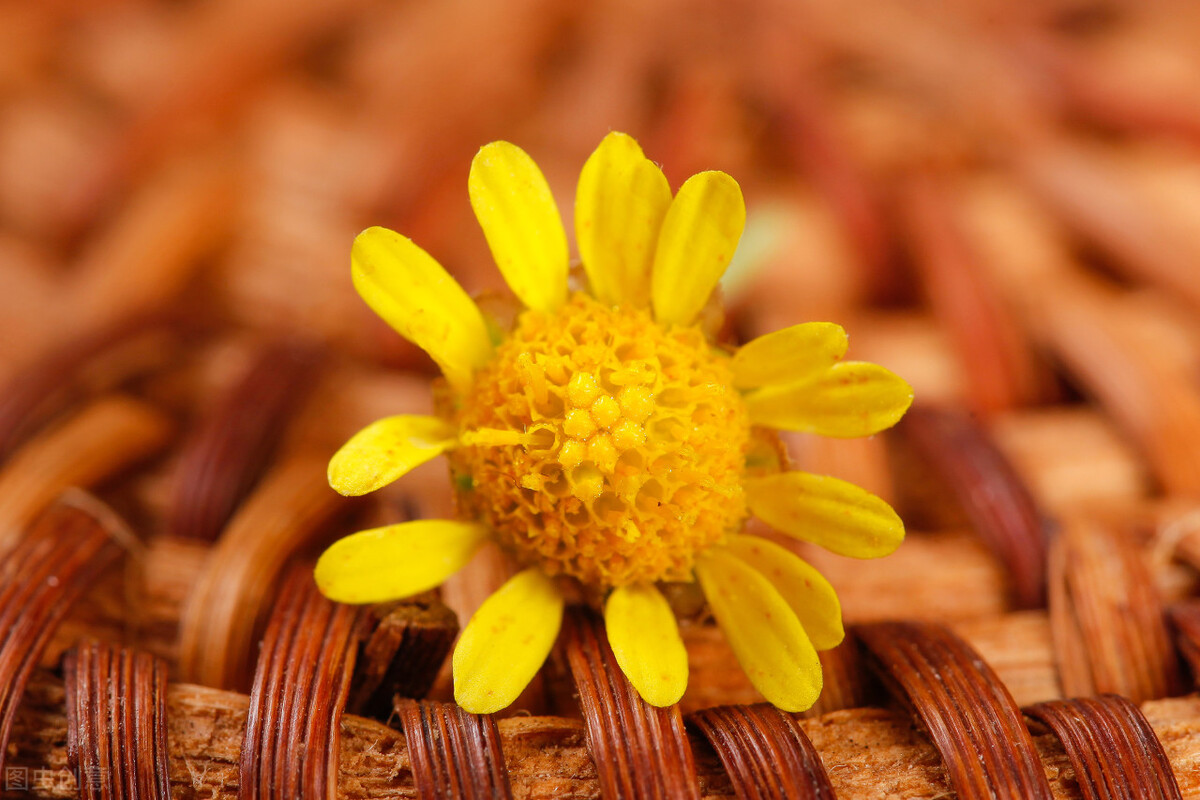 当你讨厌一个人的时候,别急着生气,这样做才是最好的做法