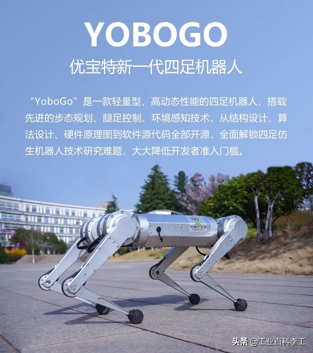 1万8元秋田犬出售,最新一代机器狗