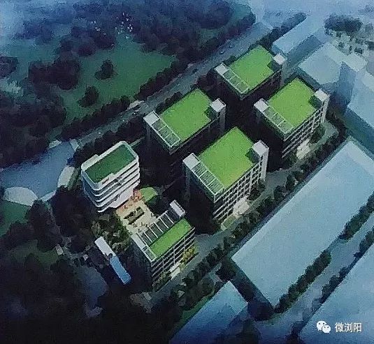 浏阳新一轮大招商引资,浏阳重点工业项目