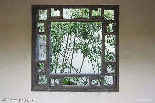 窗的作者,窗小说作者简介