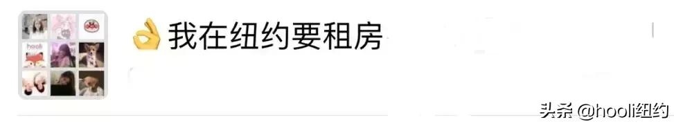 纽约最全群信息总揽｜指南在手，世界我有