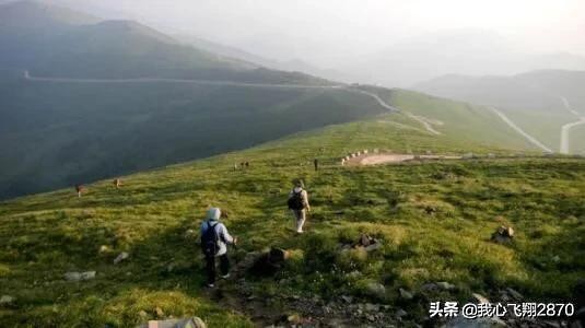 五台山与四大佛教名山,五台山第一大佛在哪里