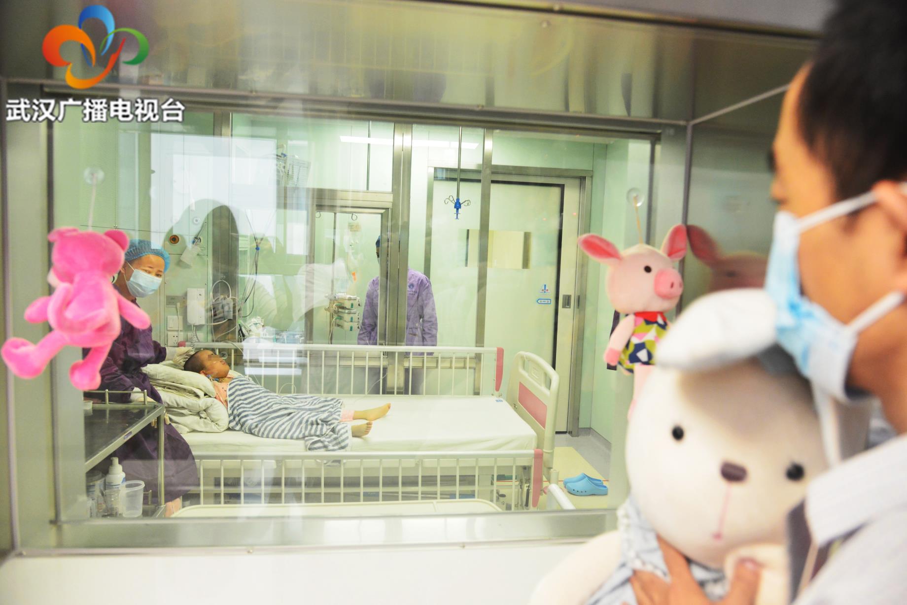 湖北首家可陪护的百级儿童骨髓移植仓正式投入使用