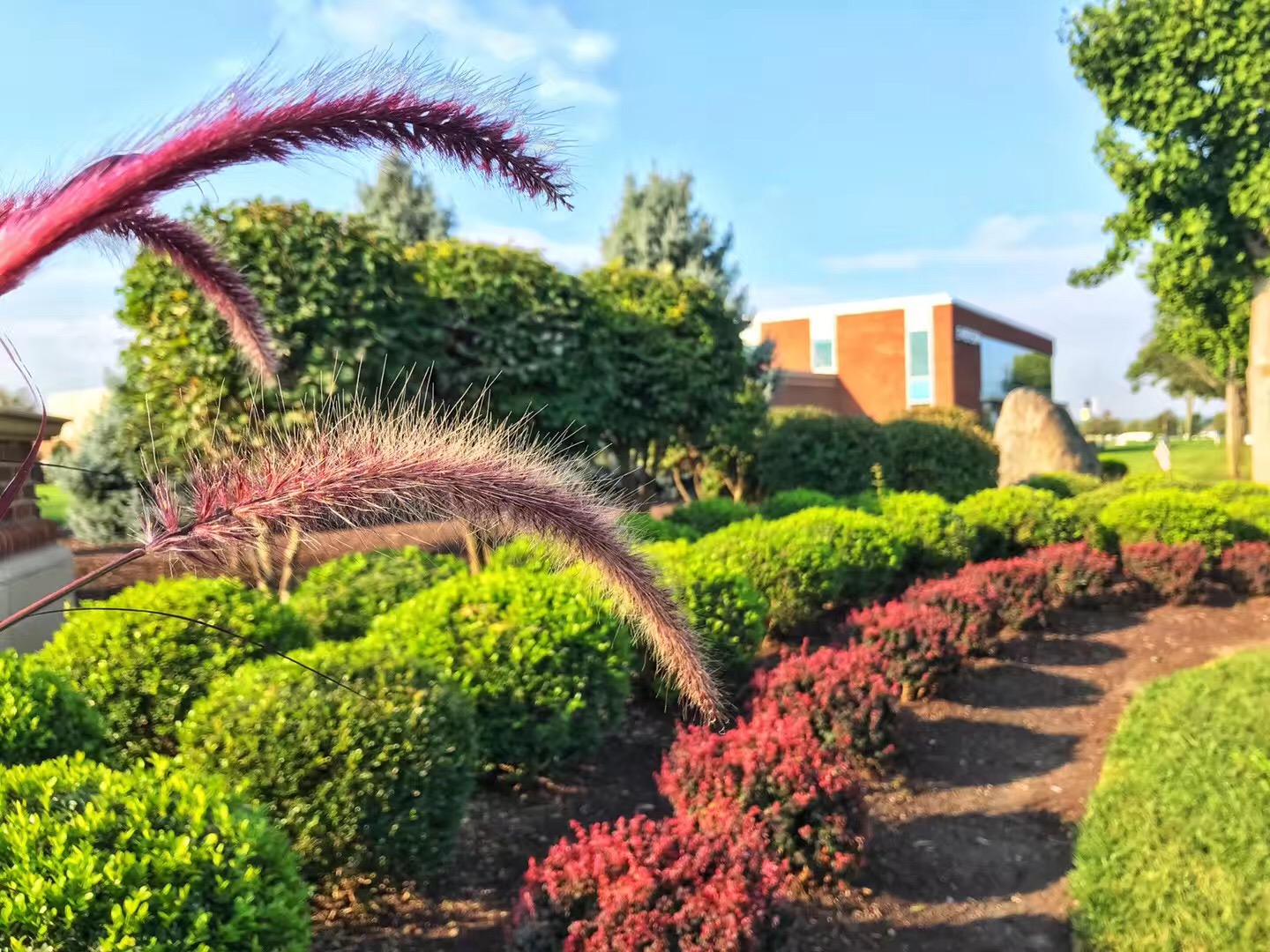 留学美国，西部最好的公立大学，辛辛那提大学