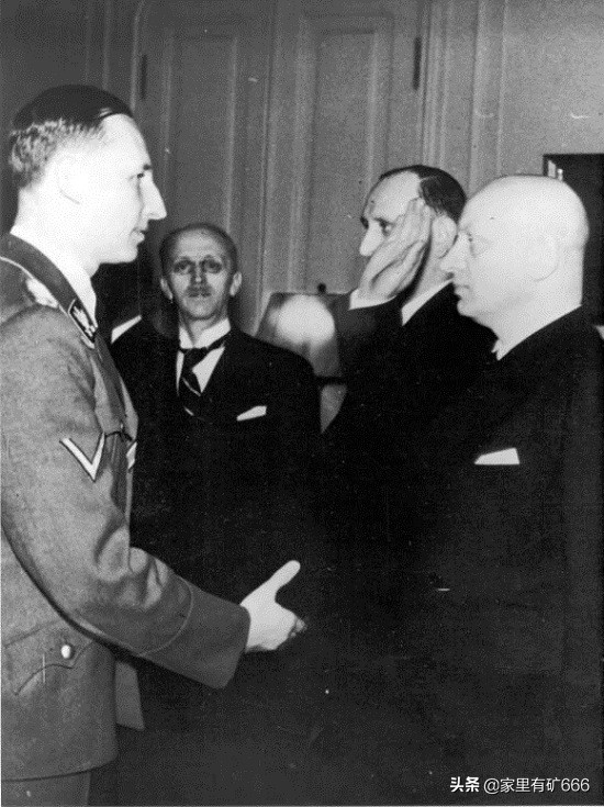 德意志黑王子,纳粹德国黑王子