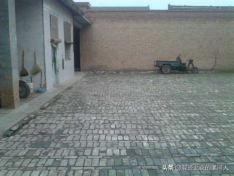 家狗突然不见了啥原因,农村的狗突然不见了是什么原因