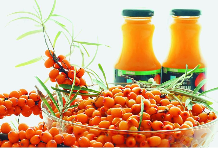 中国沙漠食品,中国沙漠特产