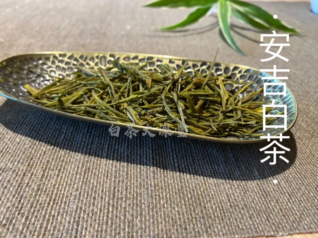 新白茶寒凉像绿茶，老白茶喝起来则像红茶？这种说法有道理吗？