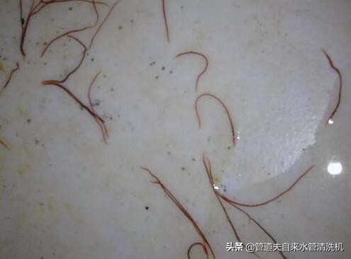 水管流出绿色的青苔,自来水管的红线虫是什么
