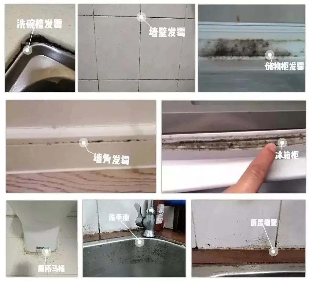 油污清洁剂一喷一抹轻松搞定,去油污清洁剂能去除马桶污垢吗