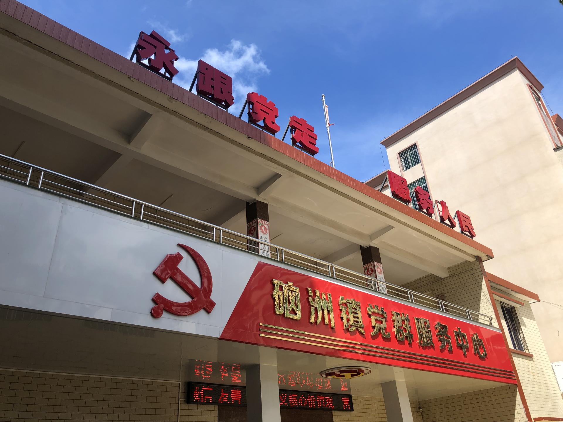 湛江火龙果双排定植技术,海南火龙果最新双排种植法