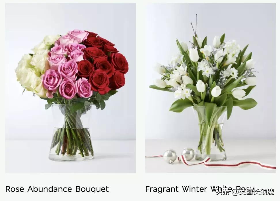 情人节来了怎么少的了fafa？英国鲜花速递服务大盘点：浪漫满分