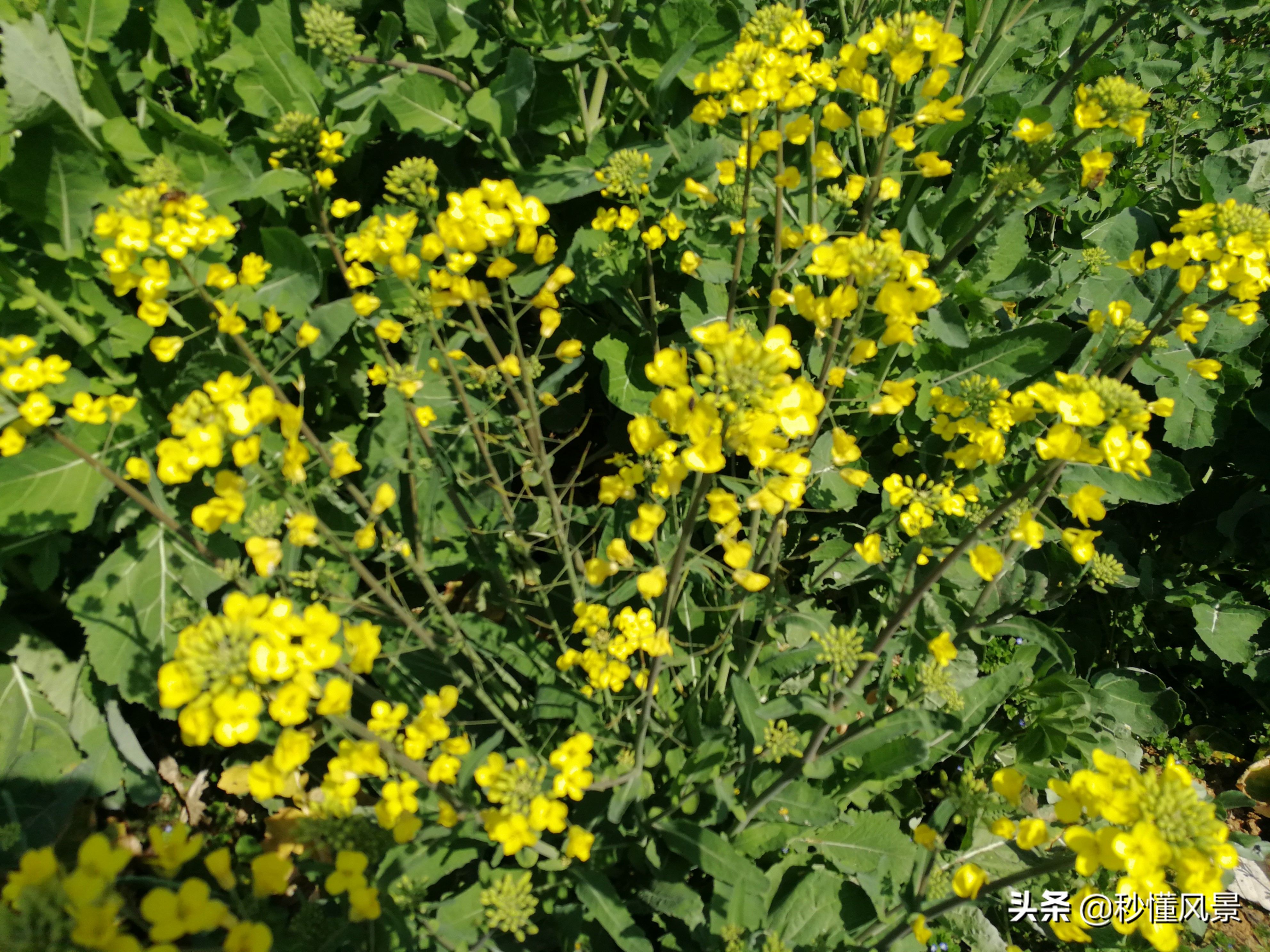 最近合肥的旅游景点推荐,合肥必去五大旅游景点推荐