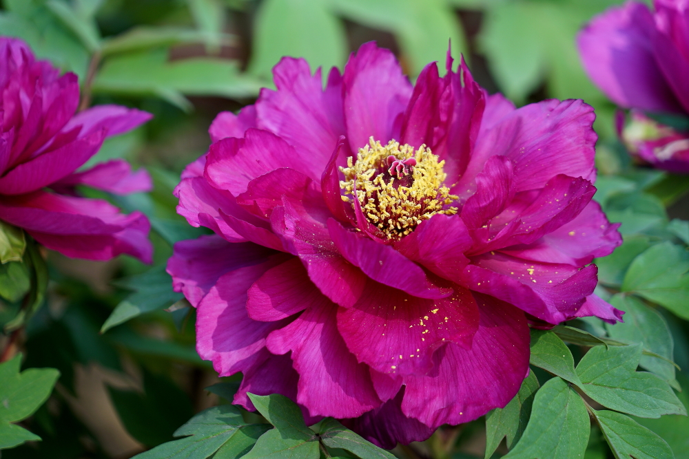 c调口琴太湖美,口琴c调太湖美