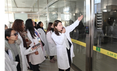 盐炒瓜子家常制作方法,什么品种的瓜子炒出来香