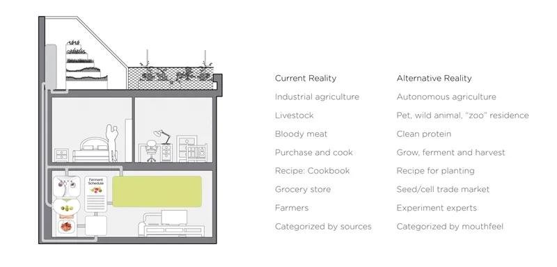 食物设计案例,健康饮食的设计意图