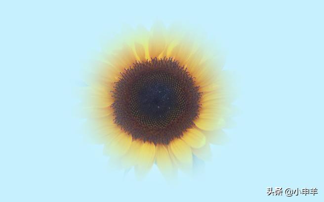 ps抠图怎么减少选区,ps里抠图用选区抠图怎么弄