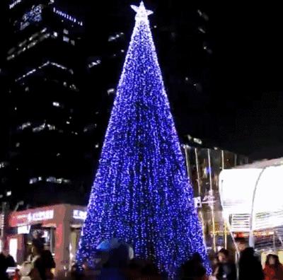 香港巨型圣诞树,香港圣诞树旅游攻略