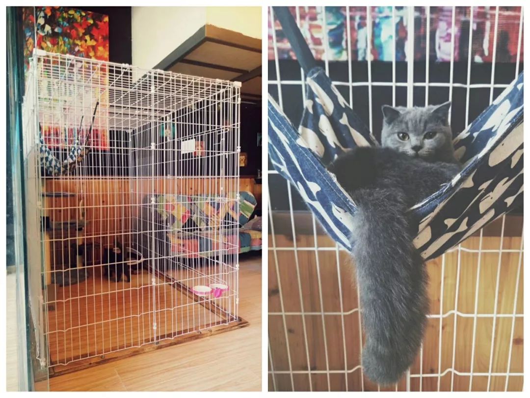 宠物店办理会员卡一般哪个系统,宠物店会员卡服务流程