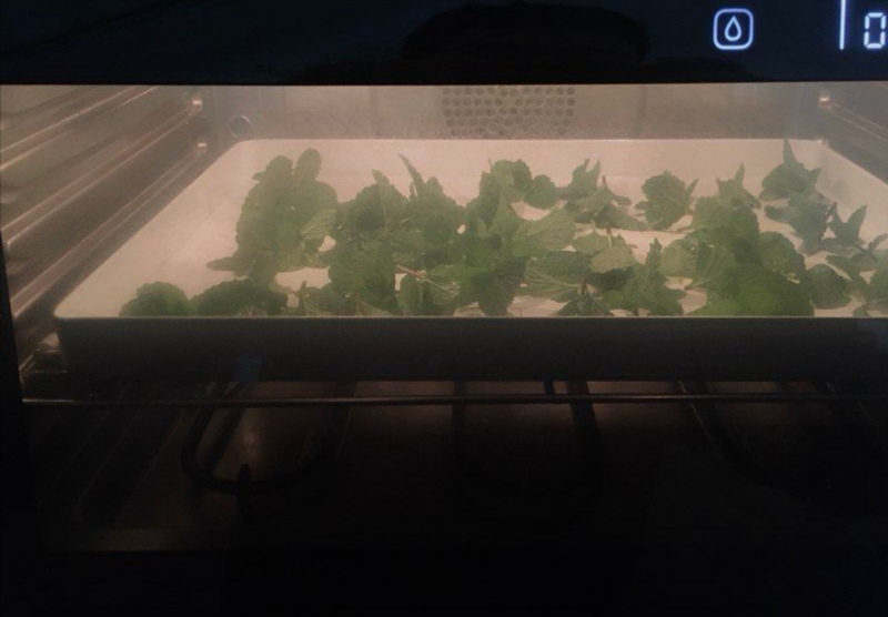 青草薄荷制作成薄荷茶,怎么用薄荷做薄荷茶水