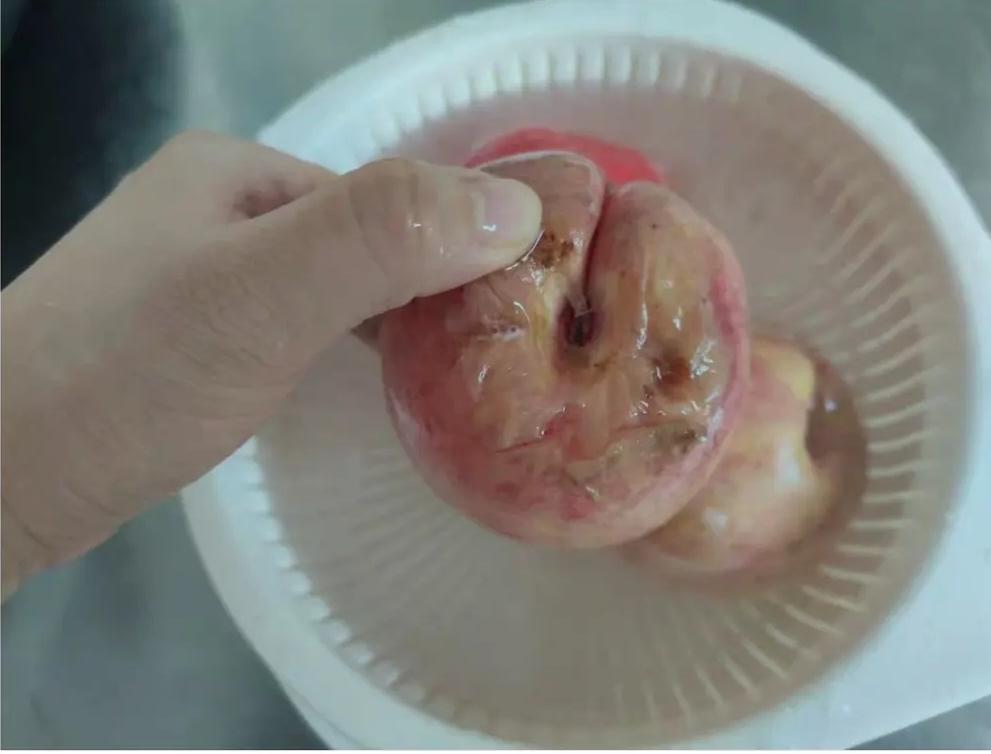 张大奕直播间事件,张大奕淘宝直播卖货完整