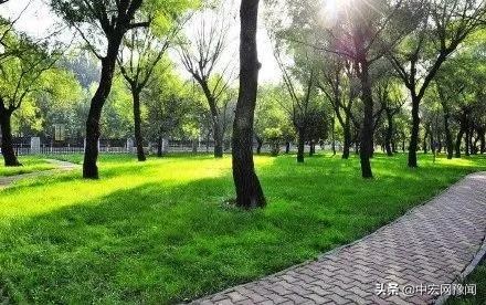 郑州公共健身器材公园,郑州公共场所免费景点