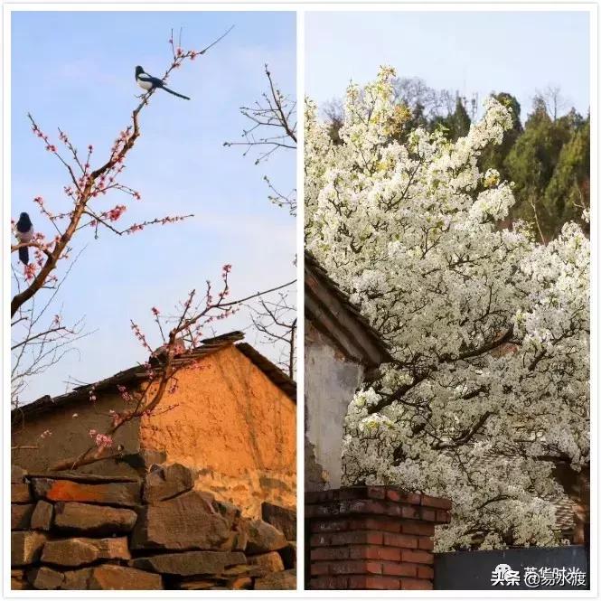 易县好看的视频,易县哪儿的好看