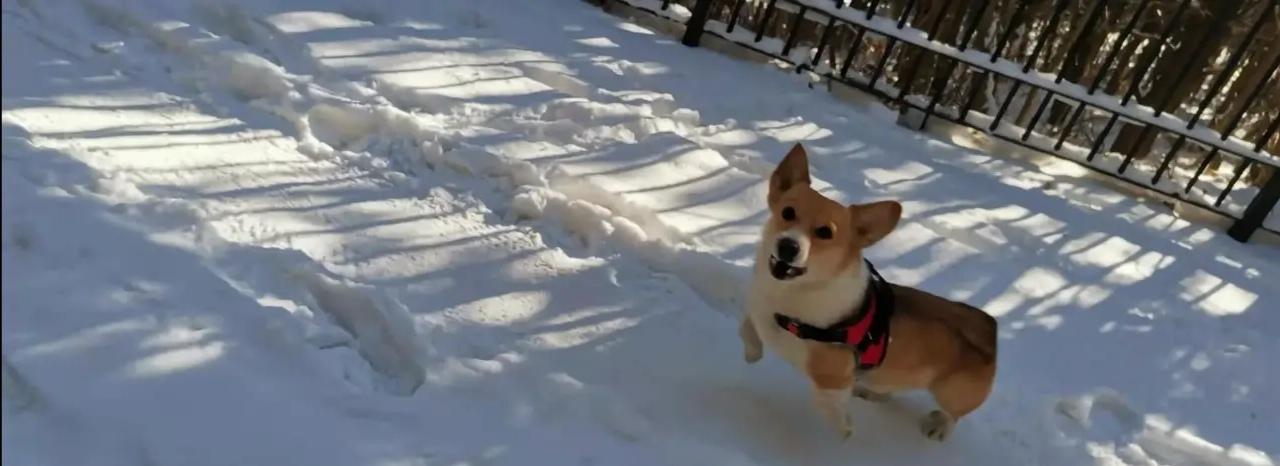 黎老太太全部视频,黎老太的故事完整视频