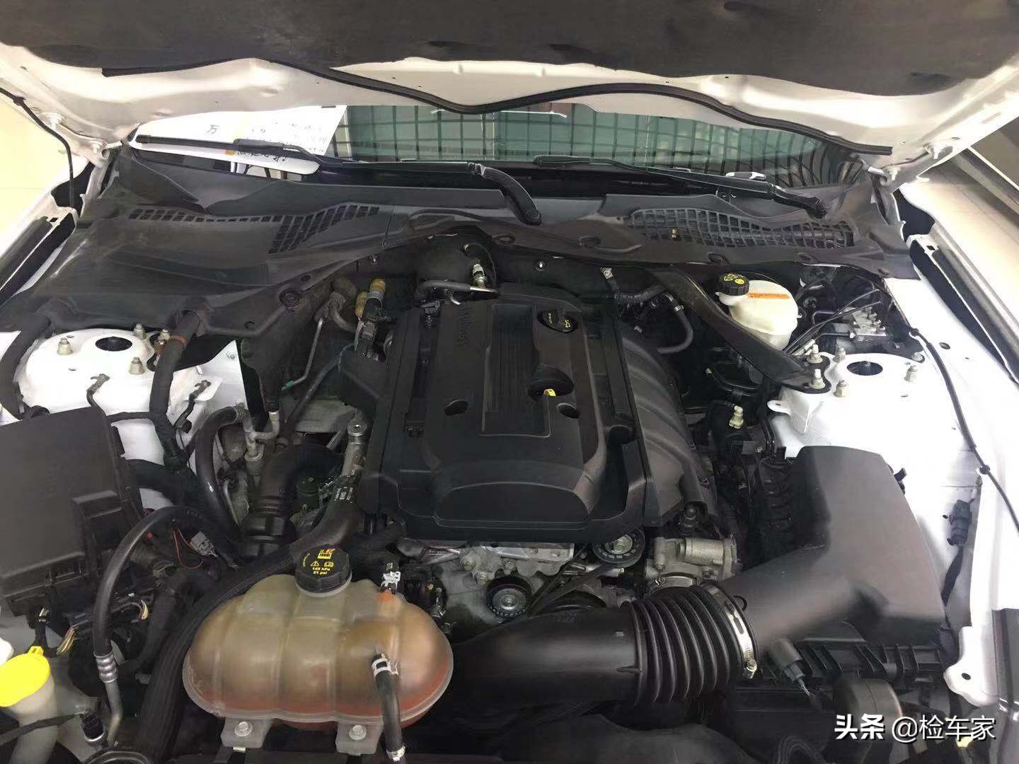 新款福特野马值不值得入手,24款福特野马价格