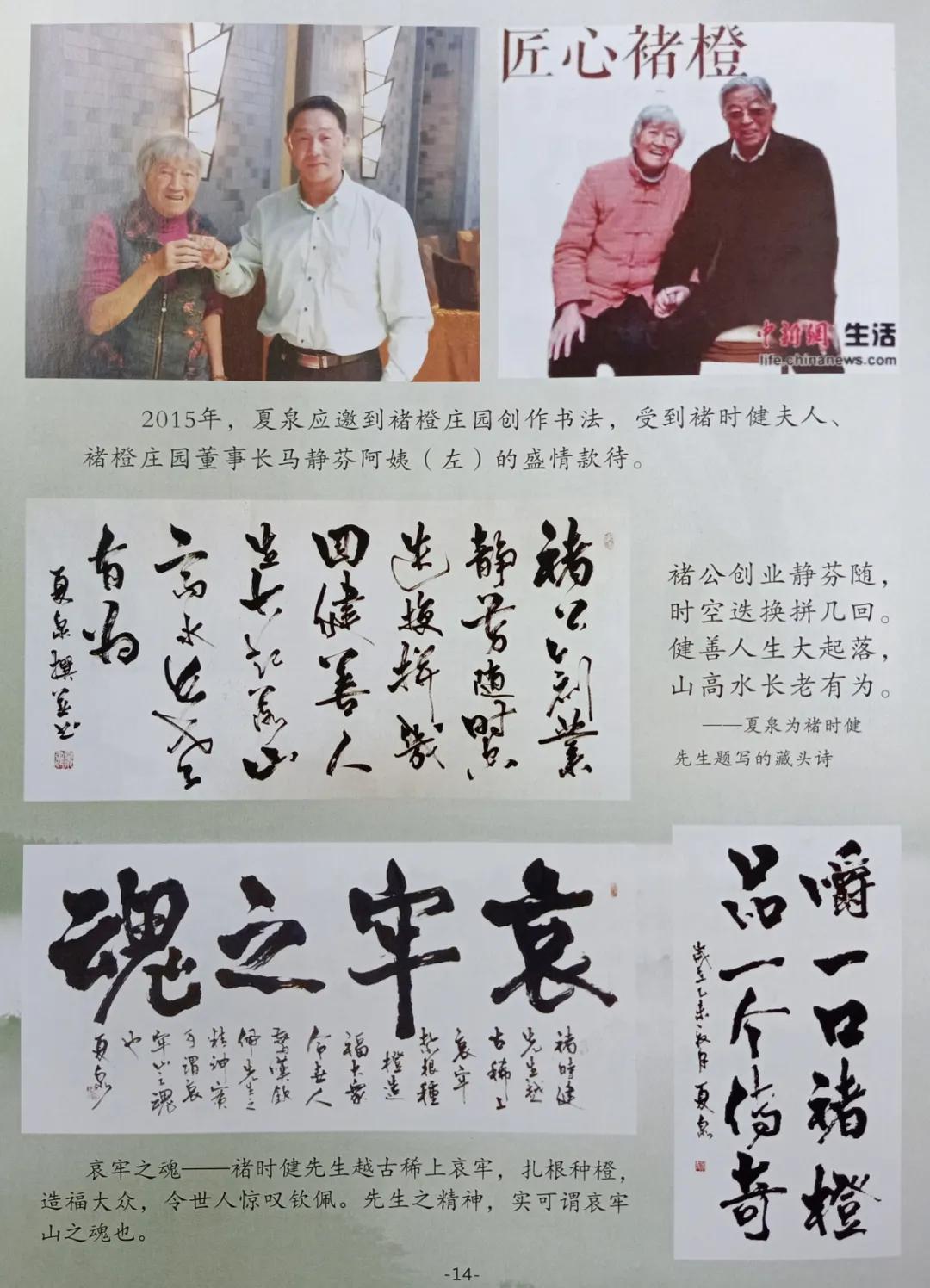 潇洒自如书法,潇洒自如书卷气