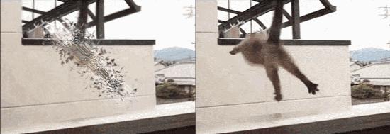 自学ae最好的书,分享自学塔罗经验