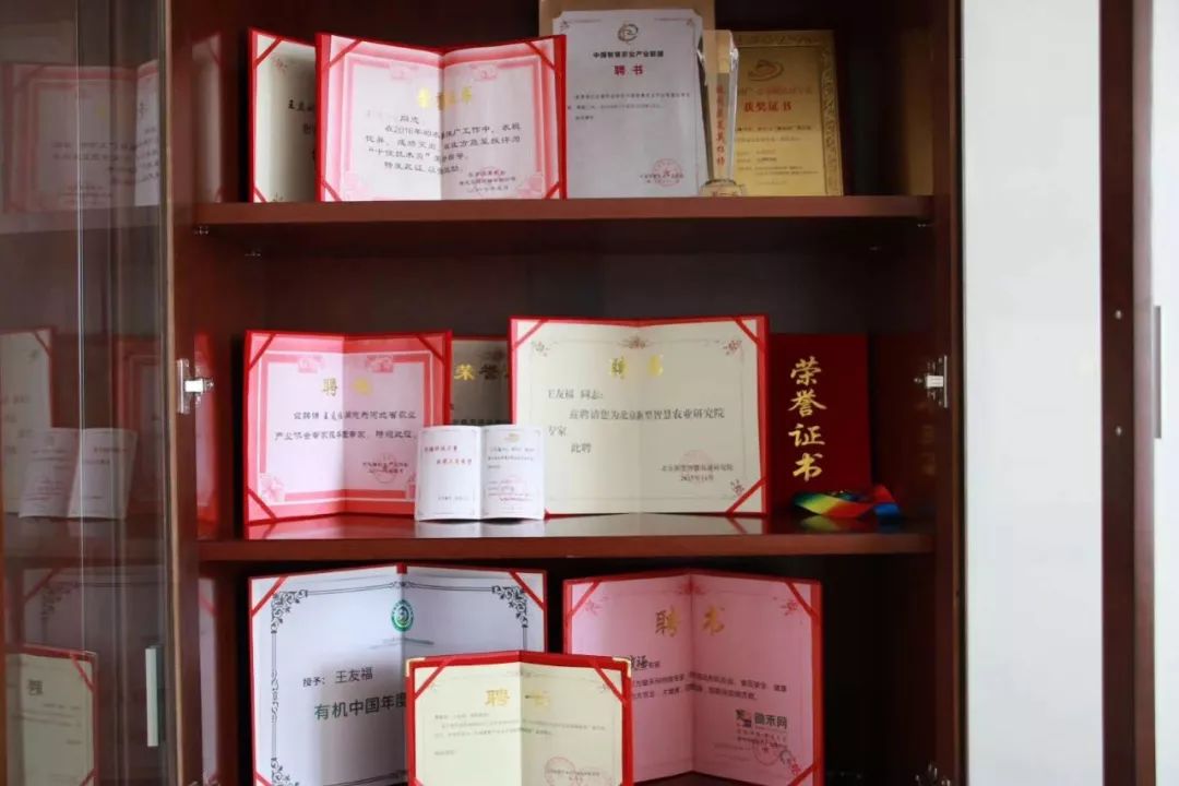 无土栽培和土壤种植技术研究所,农业无土栽培技术培训