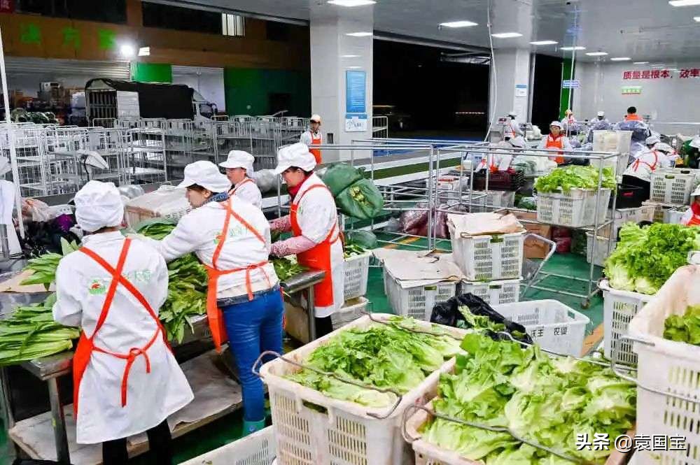 袁国宝讲中国故事,袁国宝抖音完整视频