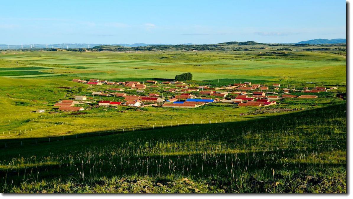 巴盟羊为什么好吃,锡盟羊的特征