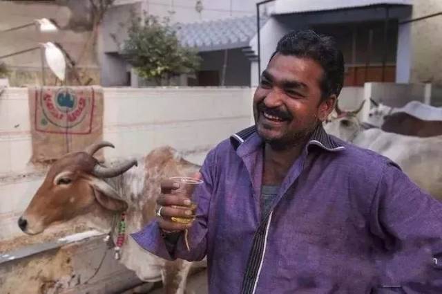 印度饮牛尿的历史探究,最古老的印度医学经典