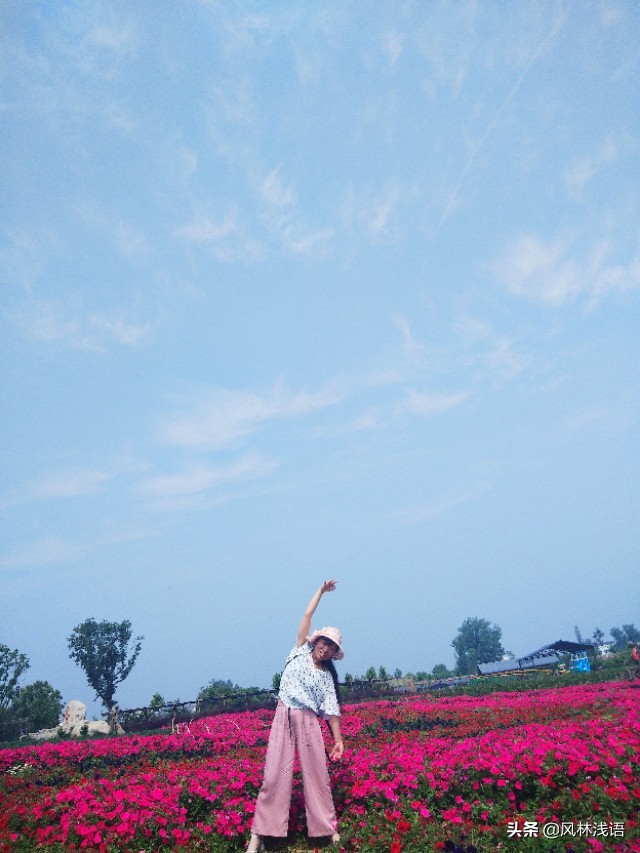 宜昌枝江同心花海步步升景点,枝江同心花海附近好玩的地方