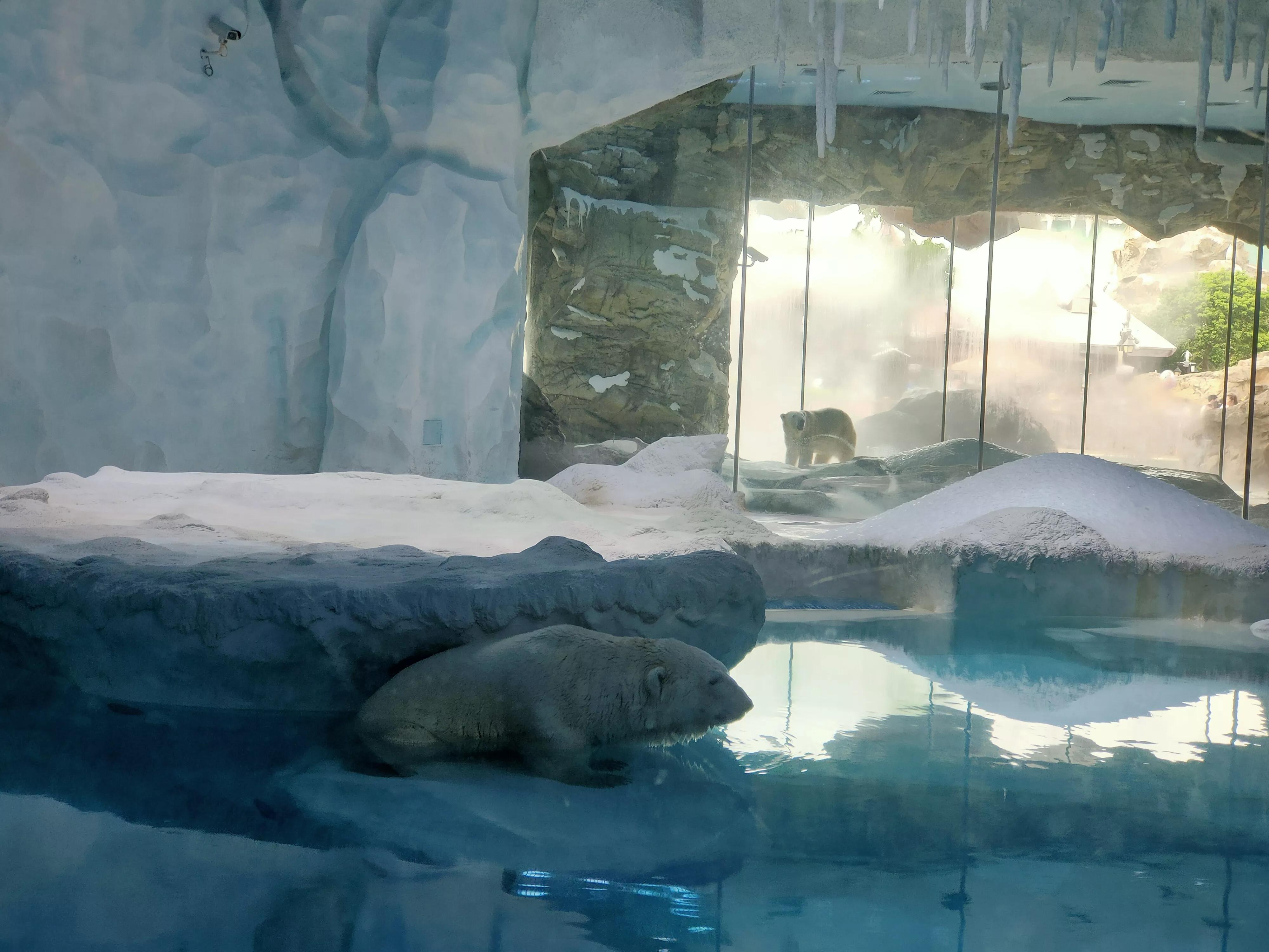 珠海长隆海洋王国一天路线图,珠海长隆海洋王国一日游详细攻略