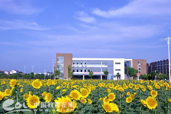 计划招生2420人!上海财经大学浙江学院2020年招生政策新变化