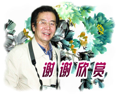 富贵气息的花鸟画,皇家富贵的花鸟画