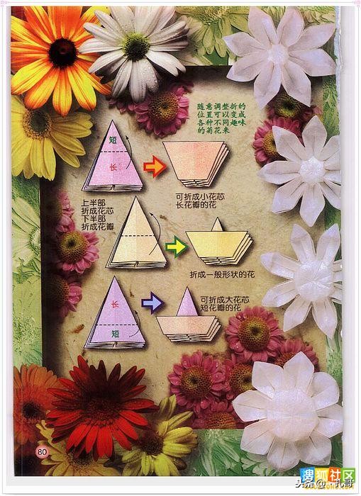 折纸大全方便又漂亮又实用,精致实用的折纸大全步骤