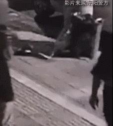 店老板养的猫咪,小卖部老板养了一只招财猫