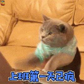 美国吃牛排怎么讲五分熟,牛排几分熟外国