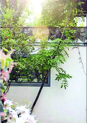 武夷茶香民宿一日游,大武夷音乐广场民宿